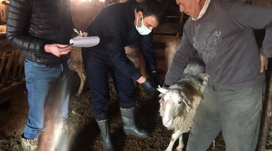 �avdarhisar'da ''�ap'' a��s� kampanyas�