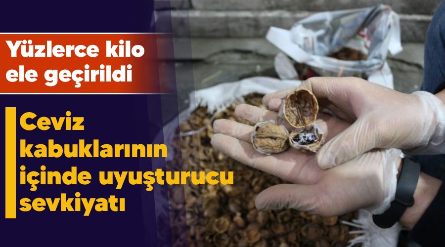 Ceviz kabuklarının içinde uyuşturucu sevkiyatı