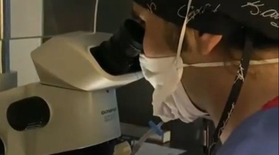 Çevre kirliliği ve şekerli içeceklerin üremeyi de olumsuz etkilediği belirlendi