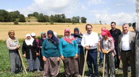 Çiftçilere 129 bin fidan 172 bin tohum desteği yapıldı