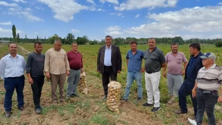 Çiftçinin beli büküldü