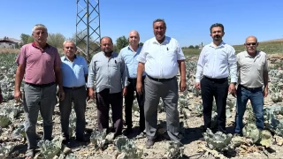 Çiftçinin büyük derdi kuraklık