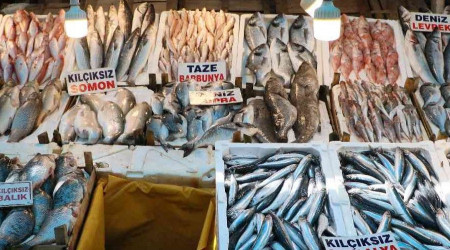 iftlik bal fiyatlar deniz balklarn geti