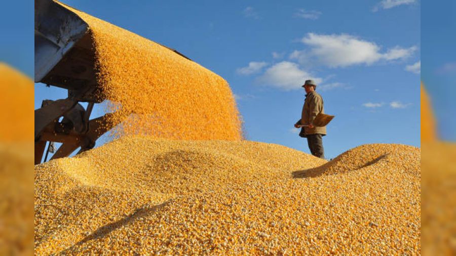 �in tah�l �retiminde kendine yeterlili�e ula�t�