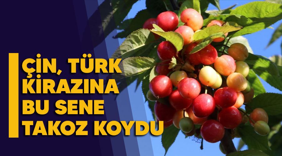�in, T�rk kiraz�na bu sene takoz koydu