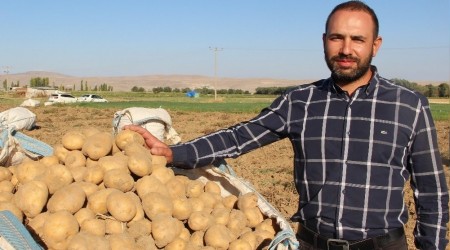 Cipslik patates üreticisinin yüzünü güldürüyor
