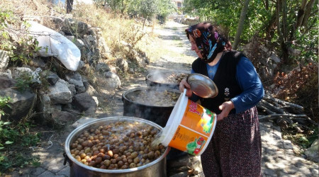 Dalndan sofraya armudun pekmeze yolculuu