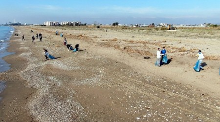 Deniz kaplumbağalarının yuvalama alanı temizlendi