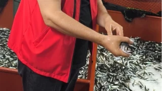 Denizde sezonun ilk mahsulleri avland