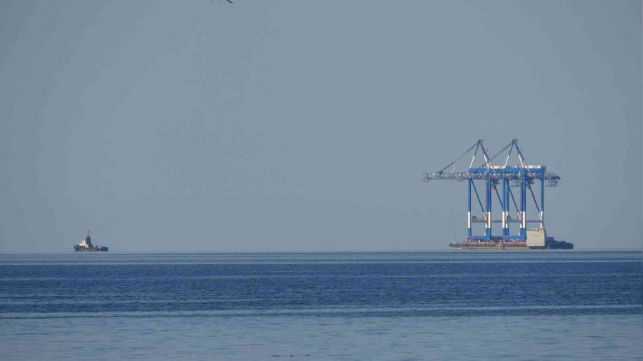 Dev vinç Karadeniz açıklarında görüntülendi