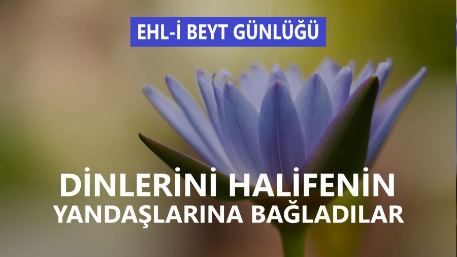 ‘Dinlerini halifenin yandaşlarına bağladılar’