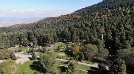 Doğa ile iç içe oteller yüzde yüz dolu
