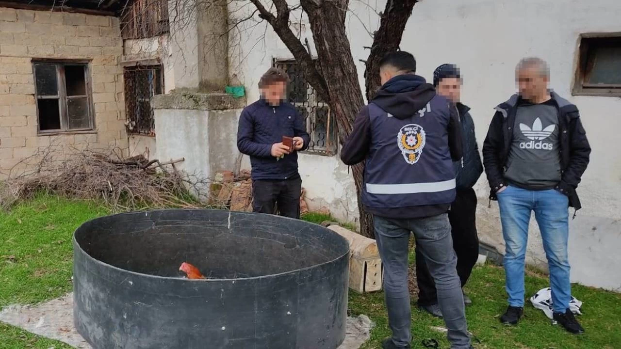 Dvtrlen horozlara polis el koydu