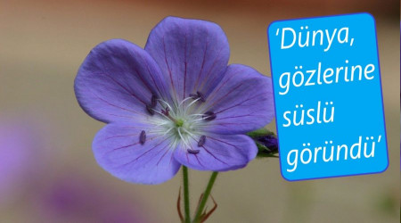 ‘Dünya, gözlerine süslü göründü’