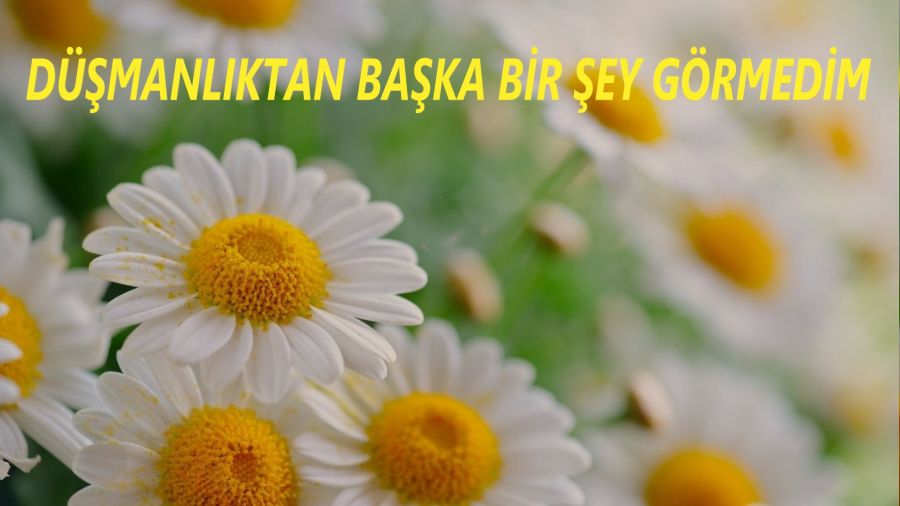 ‘Düşmanlıktan başka bir şey görmedim’