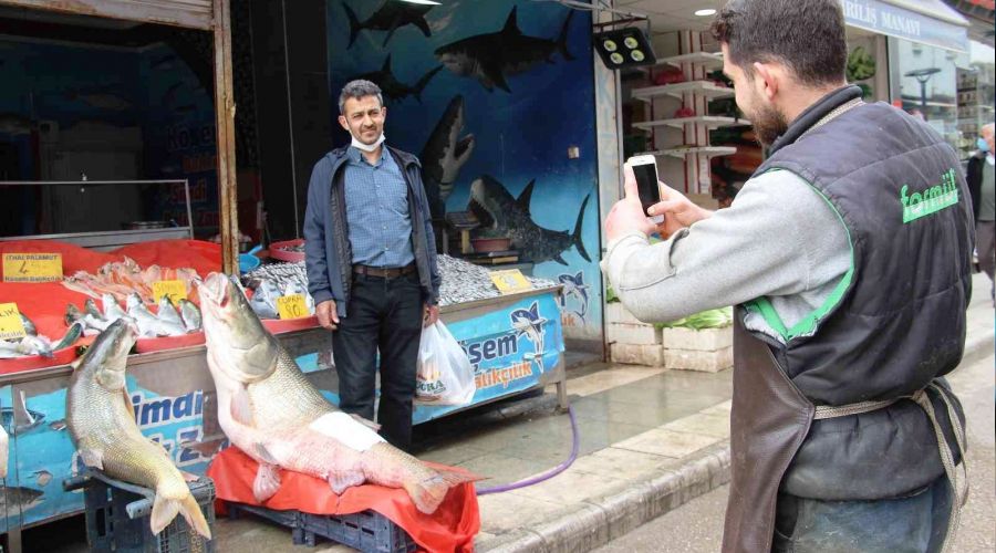 Elazığ'da dev turna balığı yakalandı: Tam 103 kilogram
