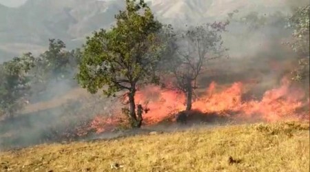 Elazığ'da orman yangını