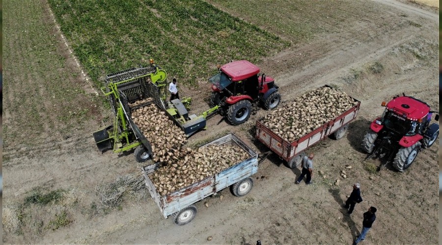 Elazığ'da şeker pancarı hareketliliği başladı