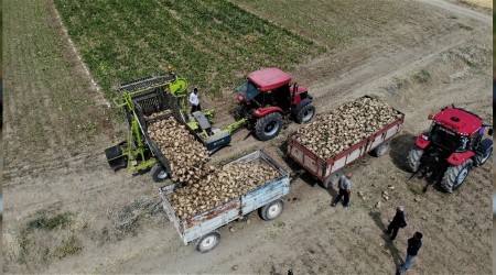 Elazığ'da şeker pancarı hareketliliği başladı