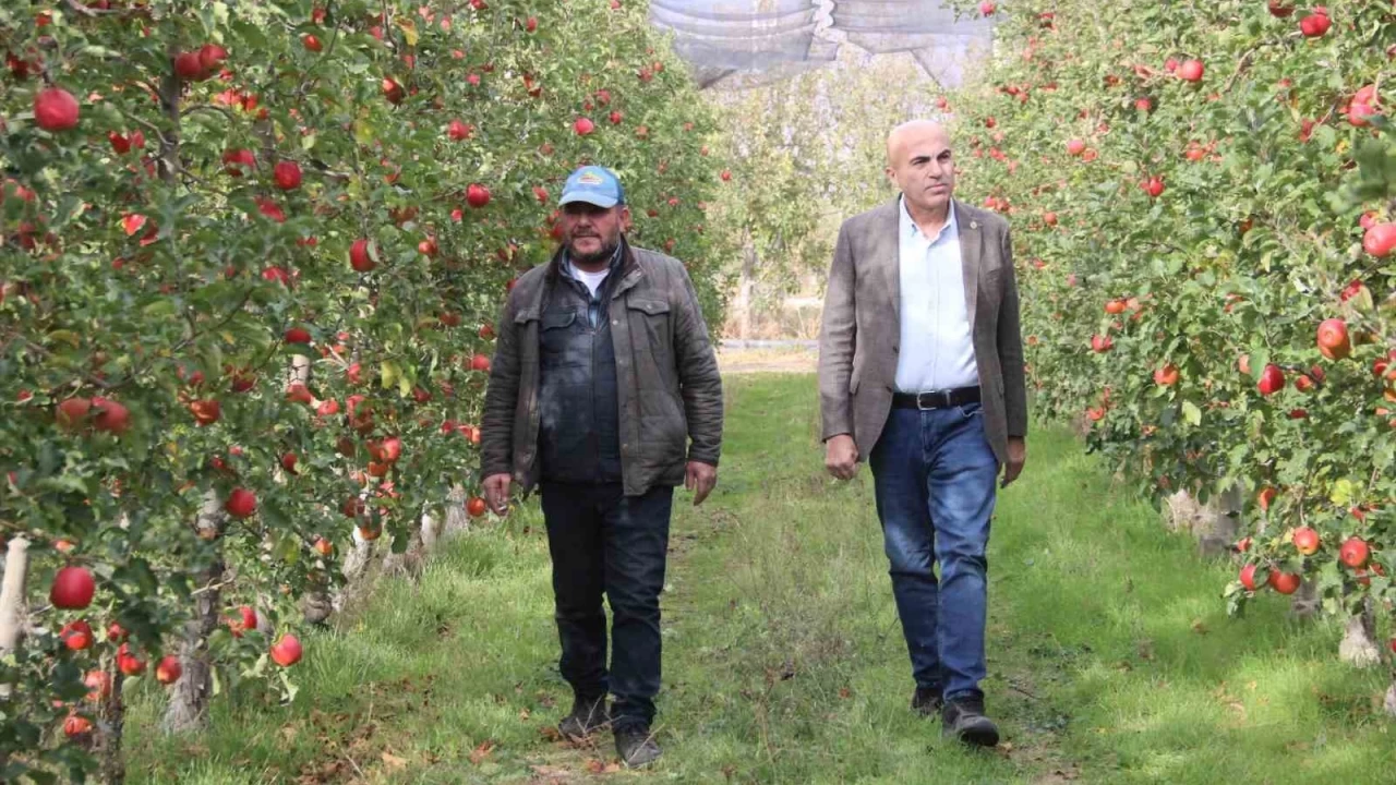 Elmann 4 kat fazla fiyata satlmas reticiyi rahatsz ediyor