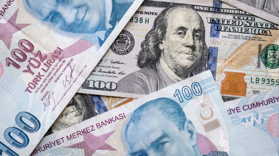 En çok değer kaybeden para birimi TL