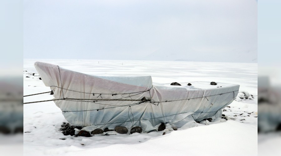 En y�ksek rak�ml� g�l dondu