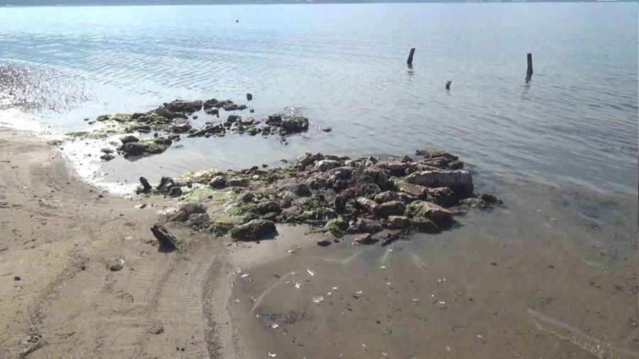 Erdek'te deniz �ekildi, antik liman ortaya ��kt�