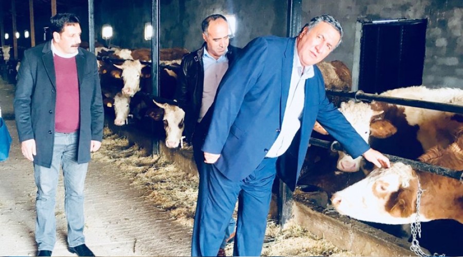 Et piyasas�nda yeni film vizyona girdi!