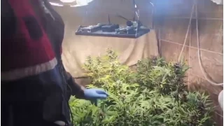 Evini uyuturucu imalathanesine evirmi