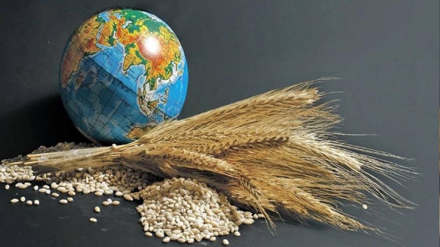 FAO: Küresel gıda fiyatları artıyor