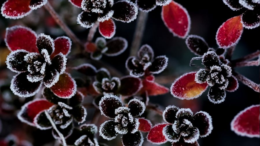 F�t�ma (a.s) gibi birisine mi bunlar s�yleniyor?