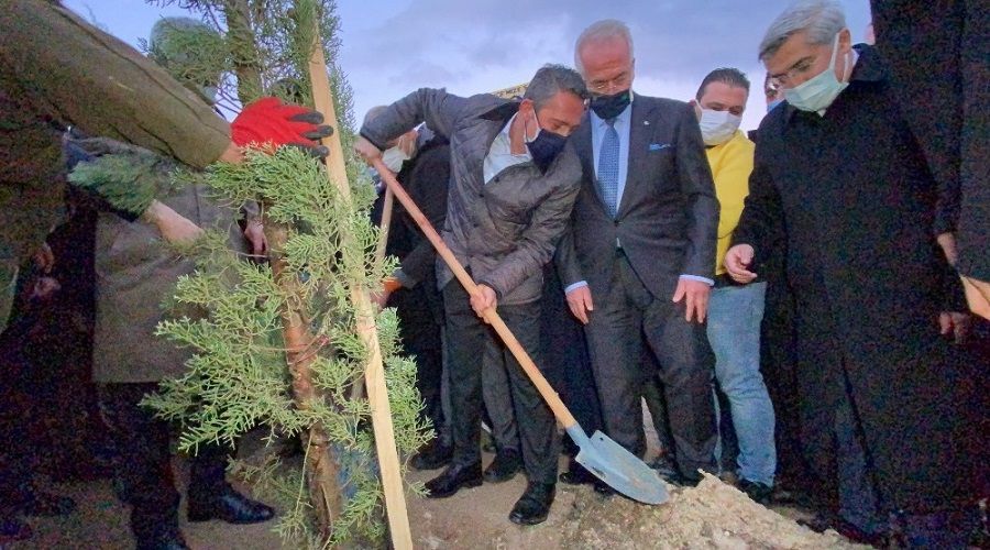 Fenerbahçe fidan dikti