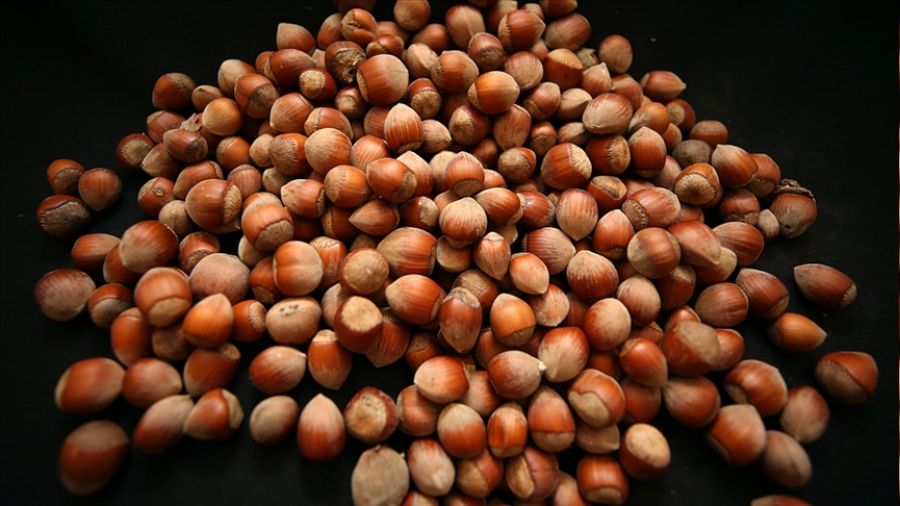 Fındık fiyatına tepki