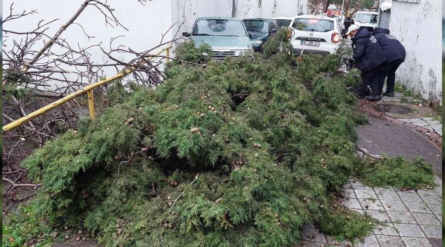 Frtnada aalar aralarn zerine devrildi