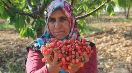 Fiyat beklentisi 30 TL