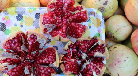 Gazipaşa'nın en ağır çekirdeksiz narı belli oldu