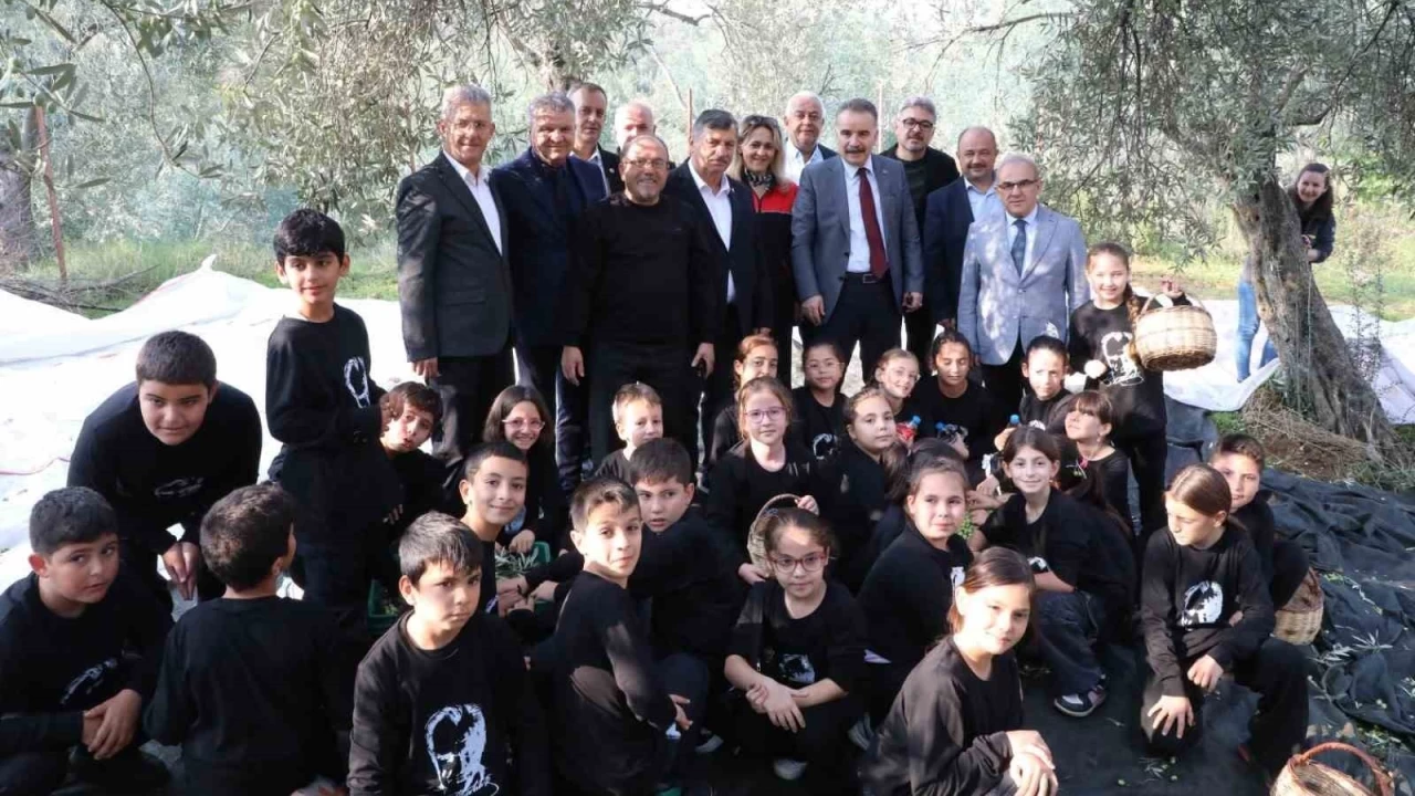 Geleceğin çiftçileri zeytin hasadında