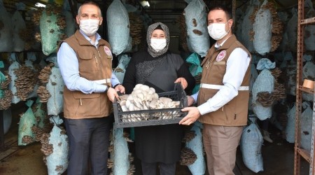Genç Çiftçi Projesinden destek aldı kendi işinin sahibi oldu