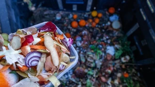 Gıda israfı, küresel bir sorun