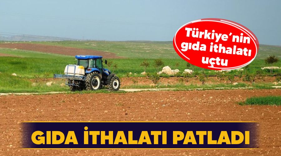 G�da ithalat� patlad�