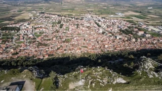 Glmarmarada yetien balca tarm rnleri