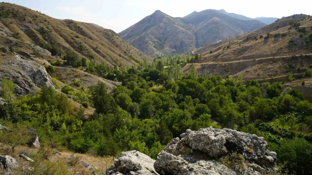 Gmhane'de milyonlarca yllk deniz fosili yata bulundu
