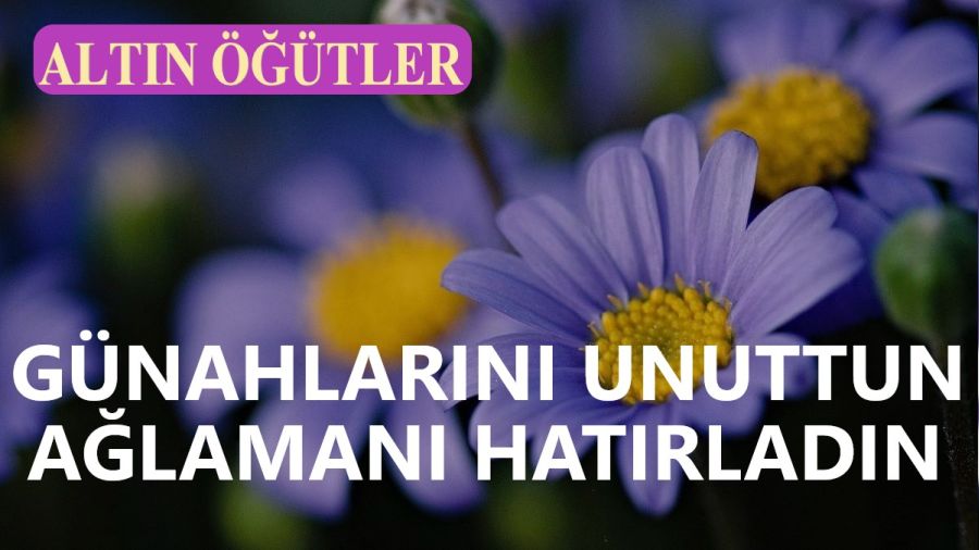 Gnahlarn unuttun, alaman hatrladn