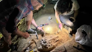 Grcistan'da 1,8 milyon yllk bir alt ene kemii bulundu