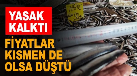 Hamsi avı yasağı kalktı