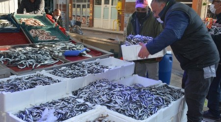 Hamsi fiyatları asansör gibi