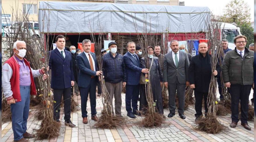 Harmancık ayva ile markalaşacak