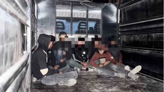 Hatay'da kamyonet kasasnda 8 gmen yakaland