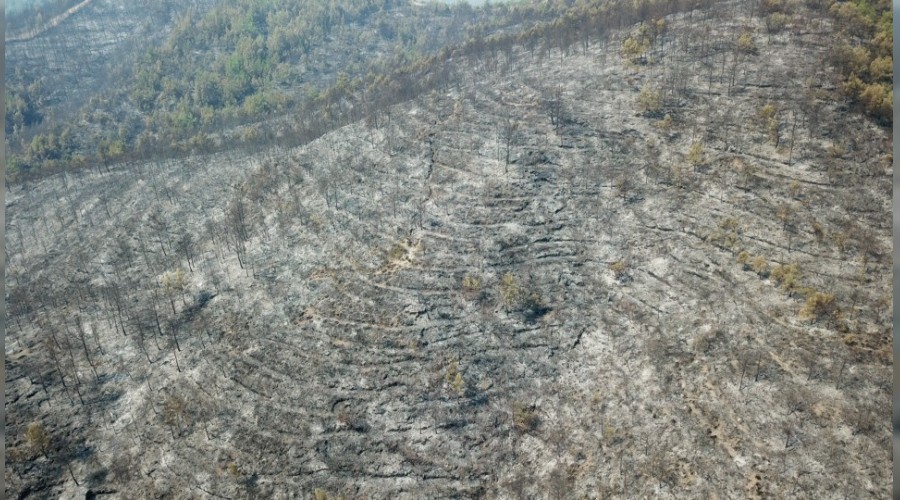 Hatay'da yanan orman alanlar grntlendi