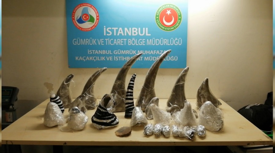 Havalimanı'nda gergedan operasyonu